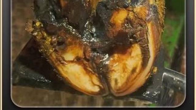 大水的冲洗一下就让你顺畅无比，舒服，实在是舒服 #解压 #助眠 #修牛蹄