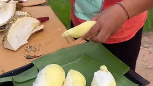 泰国美食 #榴莲爱好者 #野外生活 #榴莲控 #强烈推荐 #吃榴莲