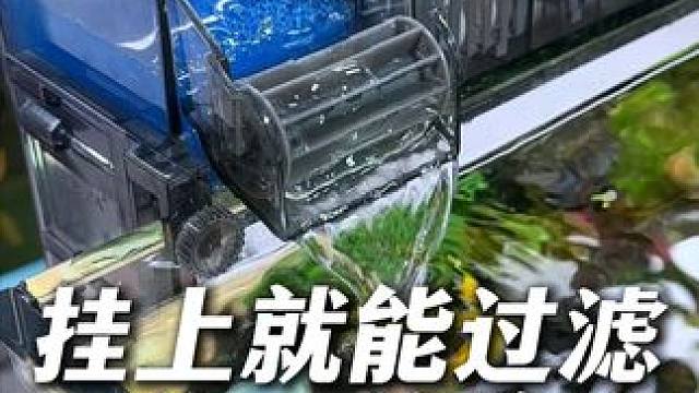 这个能净水、能增氧、能过滤的三合一滴流盒在鱼缸上一挂就能用。 适合鱼缸长度低于60厘米且过滤不给力的
