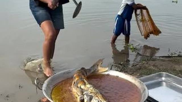 东南亚炸鱼姐 #农村美食记录生活 #我的乡村生活 #垂钓 #原创视频 #日常生活