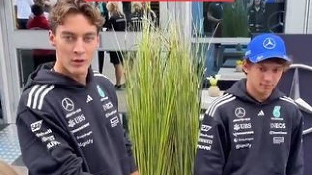 拉姐被小Kimi硬控了 拉塞尔在旁边抱怨，小Kimi be like：你不要给我哇哇叫！
#乔治拉塞