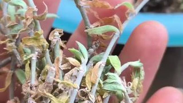 我发布了一个新视频，快来围观吧！