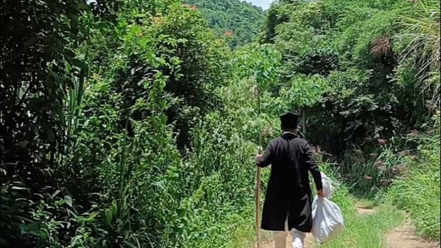 中药会用就是宝，不会用就是草