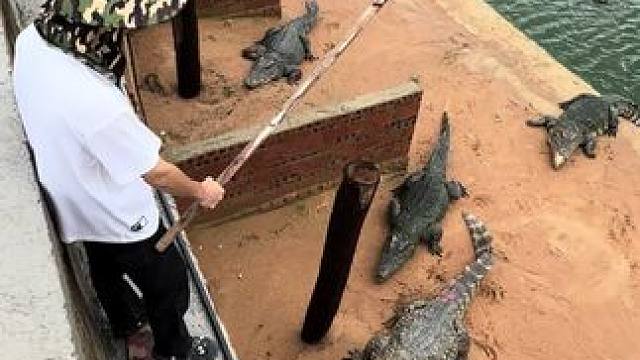 吃点土补充一下维生素#非专业人士请勿模仿 #打不倒的小强