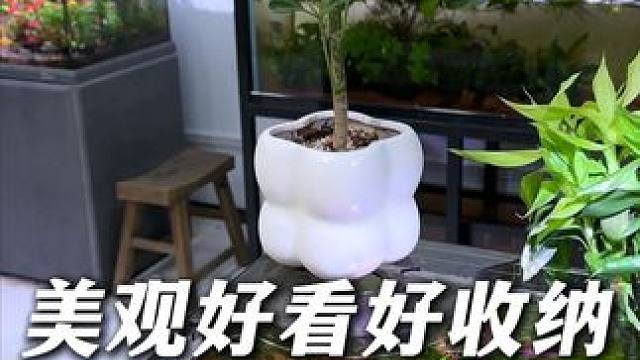 鱼缸的边角可以放置这个鱼缸置物架，既美观又好收纳！ 摆个花盆放个鱼粮简直不要太方便。#鱼缸置物架 #