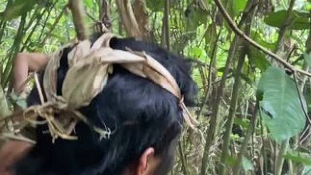 荒野求生 #我的乡村生活 #日常生活 #原始生活 #大自然的生存 #原创视频