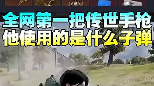 和平精英最终圣卫者~