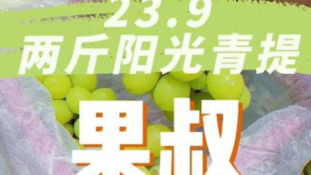 大大大件事！果叔23.9拿走两斤阳光青提！还是礼盒包装！#果叔 #阳光青提 #万物皆可种草搜 #吃喝