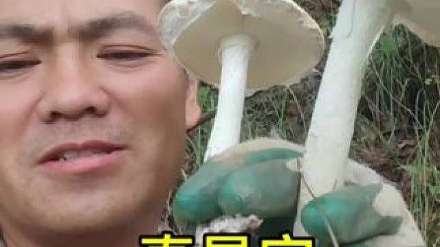 真是实力不允许，走到哪里都碰到好货。#美味菌子 #讨菌子