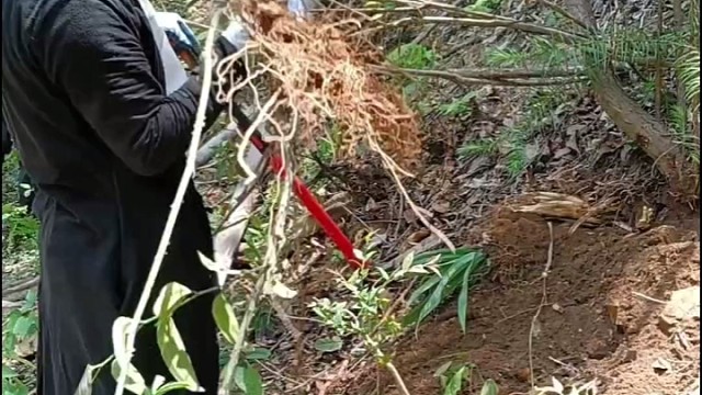 凉茶在日常修行中必不可少