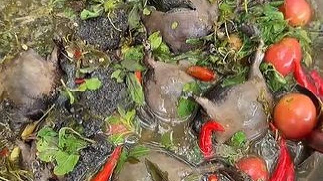 天气不错☀️在院子里做晚饭 #美食 #泰国美食 #户外美食 #内容启发搜索