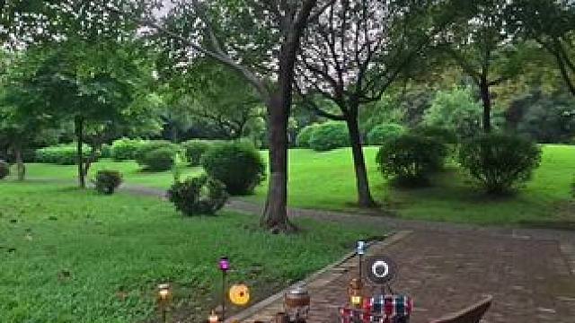 “阳光被树叶剪碎，散满一地自由，连呼吸都是浪漫的”#逃离城市的喧嚣 #户外露营 #去有风的地方露营好