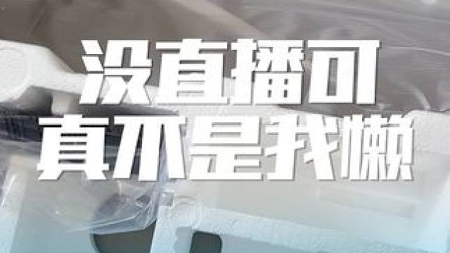 我不开播，可真不是懒，也不是拖延症！#火炬之光无限 #火炬之光无限SS8新赛季 #沙海大亨