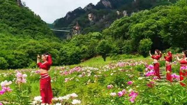 天桥沟芍药花繁艳倾城，香动千枝，
看舞者是如何打卡芍药花季！