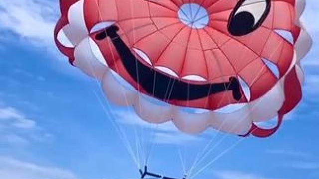 我一直以为自由就是说走就走，直到飞上天空那一刻才明白，真正的自由，是无所畏惧地冲破天际，是燃烧生命的