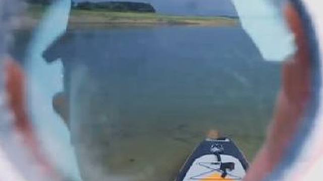 我是明媚的，也是自由的。