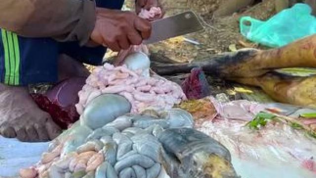 我发布了一个新视频，快来围观吧！