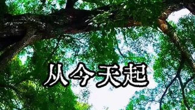 #草茉莉 #广播剧 蔓播哒 哈哈哈哈因为爸爸做饭难吃而去蹭饭吃的小吃货～