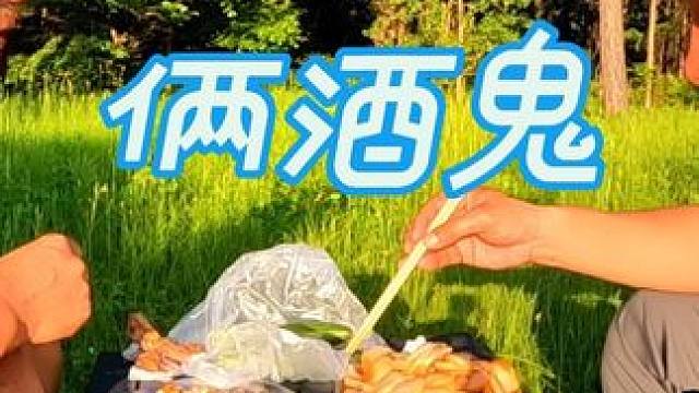 俩个酒鬼户外草原露营，哥俩太厉害了，第三集#露营野餐 #户外露营野炊