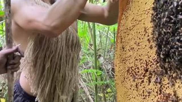 原始部落 #我的乡村生活 #原创视频 #养蜂日记 #日常生活 #乡村美食