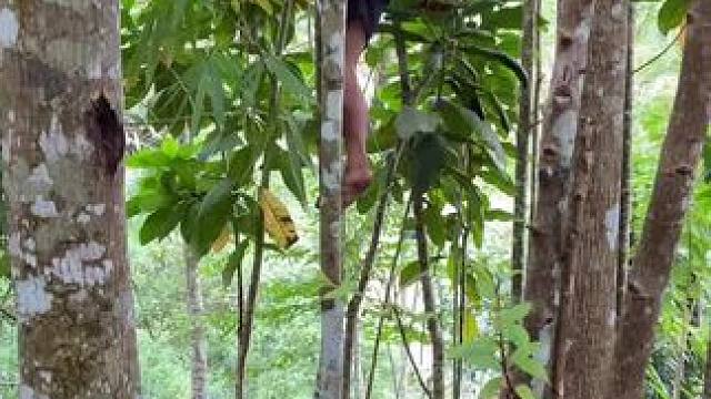 非洲嘟嘟来了 #危险动作请勿模仿 #天然氧吧 #日常生活 #乡村美食