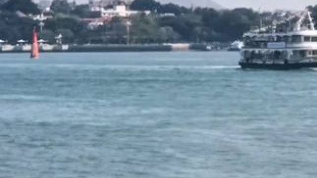 #厦门风景打卡地 ？#手机摄影 #鼓浪屿。