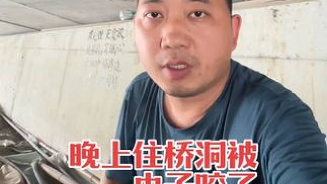 晚上住桥洞被虫子咬了，十几天都还没好，不知道什么虫子，过敏了 #运动康复 #日常生活 #住桥洞被虫咬