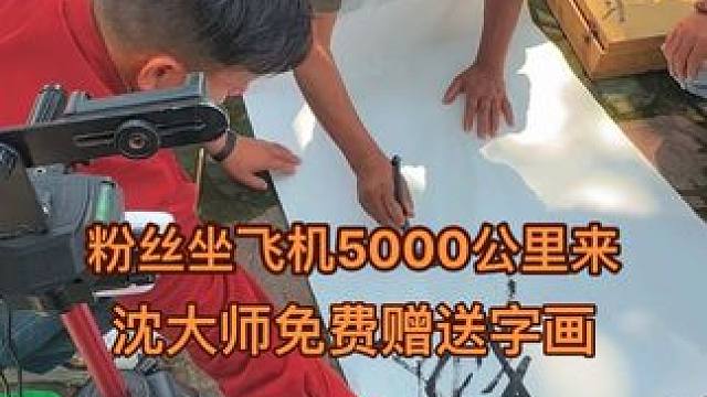 粉丝坐飞机6000公里来，沈大师免费赠送字画 #沈巍#我要流量 #我要当同城红人 #流浪大师