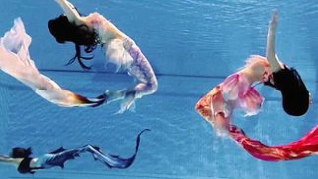 主打一个各玩各的
