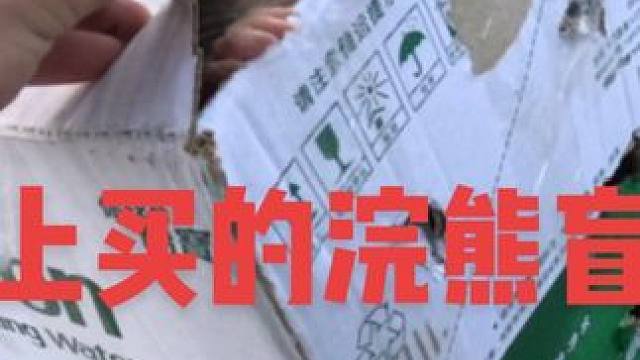 在网上买浣熊会不会被坑 #浣熊 #网购 #盲盒