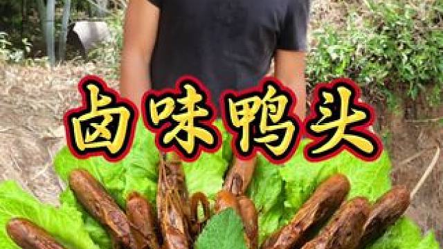 今天做一道卤味鸭头，这味道简直太好吃了 #农村生活 #农村美食 #家常菜 #新农人计划 #舌尖上的美