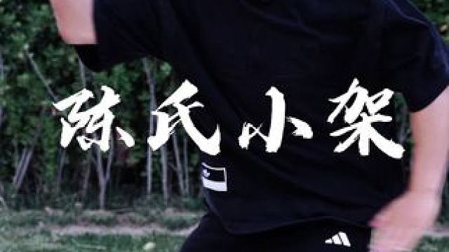 陈氏太极小架 一动一静互为其根，立身中正守中和#今日宜养生 #太极 #太极拳 #陈氏太极拳 #传统武