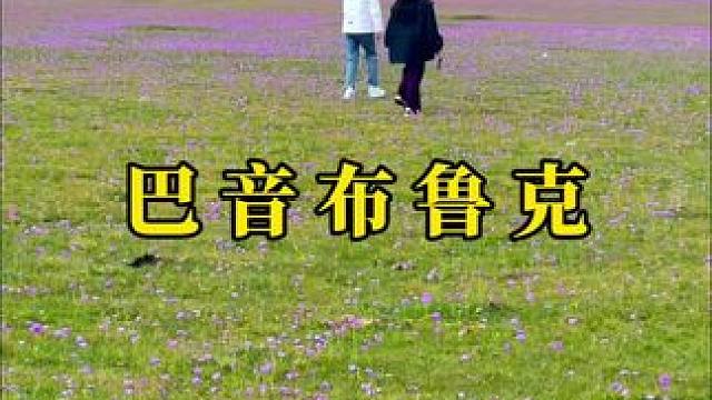 在这一刻，我的灵魂和风一样是自由的. #治愈系风景 #巴音布鲁克草原 #浪漫花海 #美丽的草原风光无