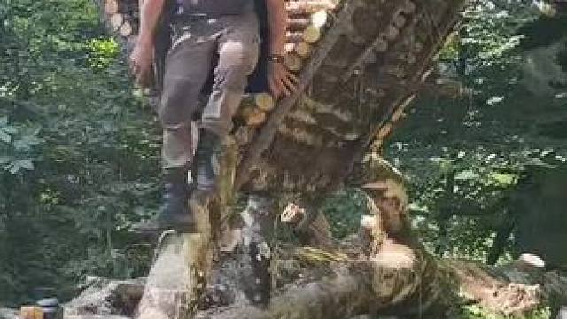 #荒野建造 #野外生存 #野外建造 #解压视频 #野外露营