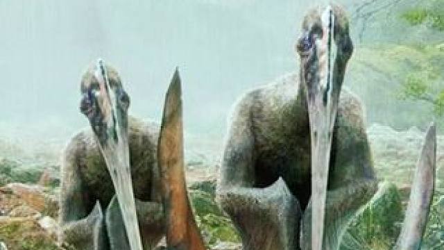 恐龙的世界，真的比你想象的精彩！ #古生物 #恐龙 #恐龙世界