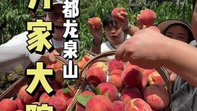 龙泉山的水蜜桃熟了，这次来山上发现了好多吃的耍的，吃耍一天人均也才几十块，柴火鸡，烧烤，中餐三选一，