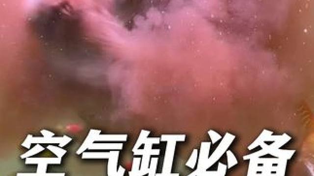 手撕羊绒棉，空气缸必备！ #鱼缸过滤棉 #羊绒棉 #手撕羊绒棉 #鱼缸过滤材料 #水族用品