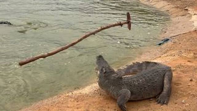 不管成功还是失败，往前就对了#非专业人士请勿模仿