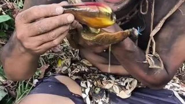 野生嘟嘟 #野生嘟嘟 #非洲嘟嘟#乡村守护人 #内容启发搜索 #田园生活乐趣多