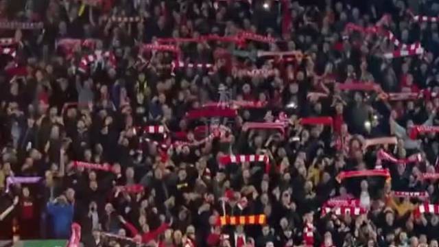 我们浦有自己的爆款bgm