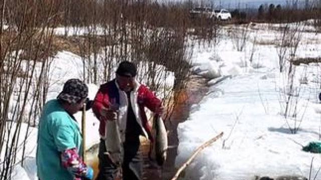 #捞鱼摸虾的乐趣