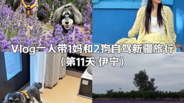 Vlog.237｜一人带1妈和2狗自驾新疆旅行 #百雀羚超A瓶套装#护肤尖子生#自驾游#vlog#带