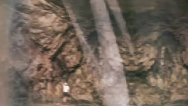 生活就要精致一点每天多一点 #视角震撼