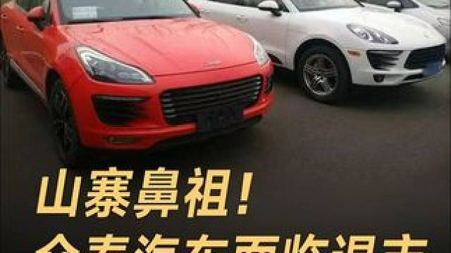 山寨鼻祖！众泰汽车面临退市，去年仅卖出14台车！#众泰汽车  #保时泰  #保时捷  #奥迪  #中