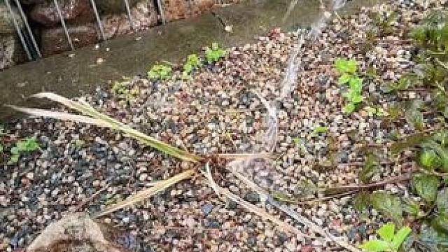 哪一个听起来更空灵呢？ #玩个很新的东西  #解压