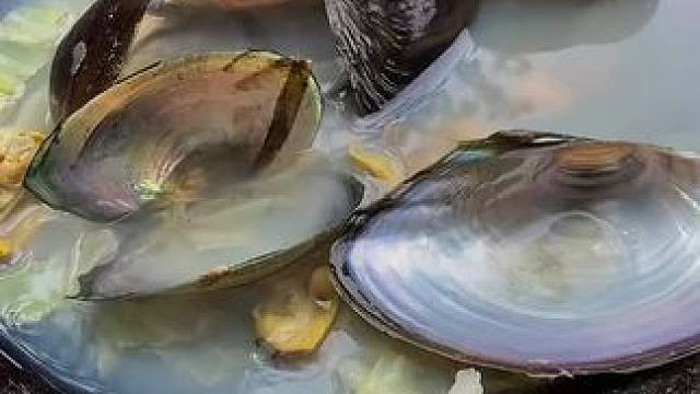 嘟嘟 #我的乡村生活 #危险动作请勿模仿 #日常生活 #外国人真会玩 #户外生活记录