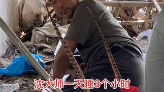 沈大师一天只睡3个小时，就要去公益上班了 #沈巍 #流浪大师 #我要上热门 #我要当同城红人