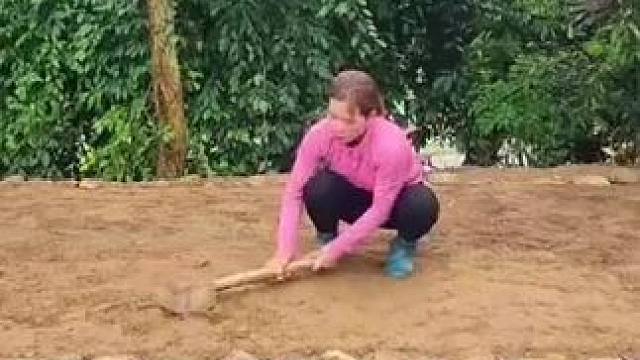 #乡村的生活 #我的乡村 #乡村风光