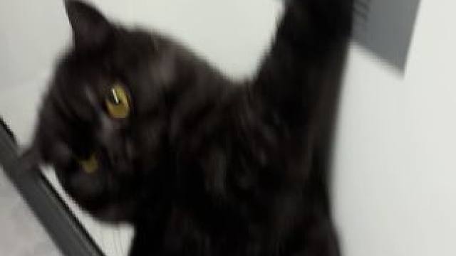 有馋嘴巴翻车了哈哈哈哈，厨房阳台关着，下午做了饭有肉嘎嘎的香味，不知道挂票买了多久哈哈哈哈哈哈，幸灾