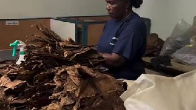 雪茄工艺制作方法。 #雪茄 #雪茄知识 #工艺制作 #雪茄生活